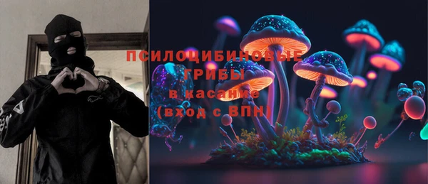 прущая мука Алзамай