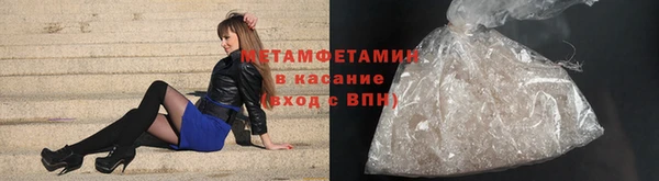 прущие грибы Армянск
